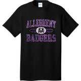 Lady Badgers Core Cotton Tee